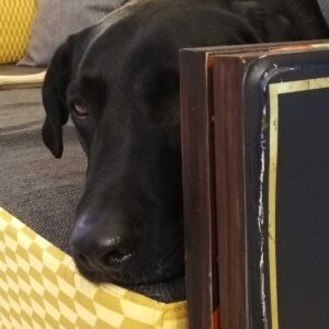 Divanone per Giulia ed Elisa, Modena