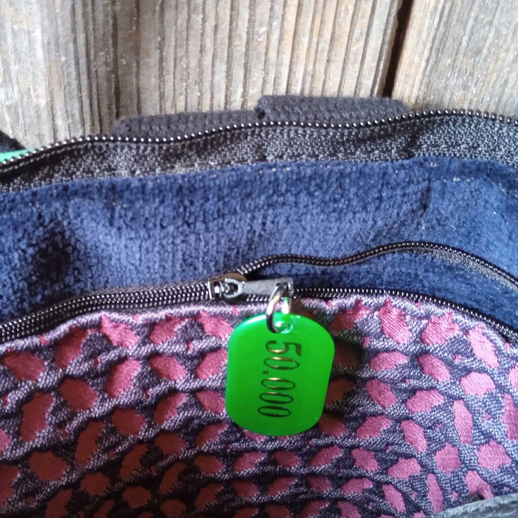 Borsa Zaino Cinno n°02 - immagine 9