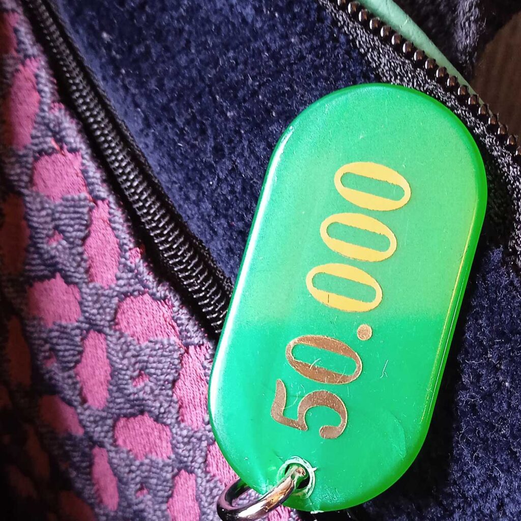 Borsa Zaino Cinno n°02 - immagine 17