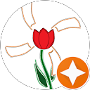 il Tulipano a Vento profile picture